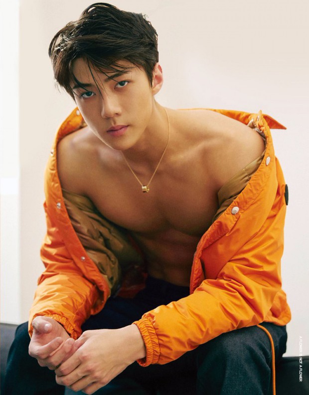 Không thể tin nổi đây chính là nam thần Sehun (EXO): Phát tướng, xuống sắc đến mức khiến MXH Trung - Hàn chấn động - Ảnh 7. Không thể tin nổi đây chính là nam thần Sehun (EXO): Phát tướng, xuống sắc đến mức khiến MXH Trung - Hàn chấn động - Ảnh 7.