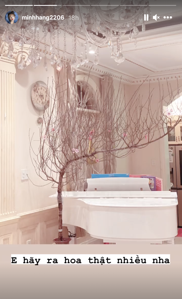 Sao Việt khoe cây hoa chơi Tết: Tóc Tiên, Bảo Anh mê đào, thanh liễu; Thanh Hằng lại là fan của tuyết mai  - Ảnh 9.