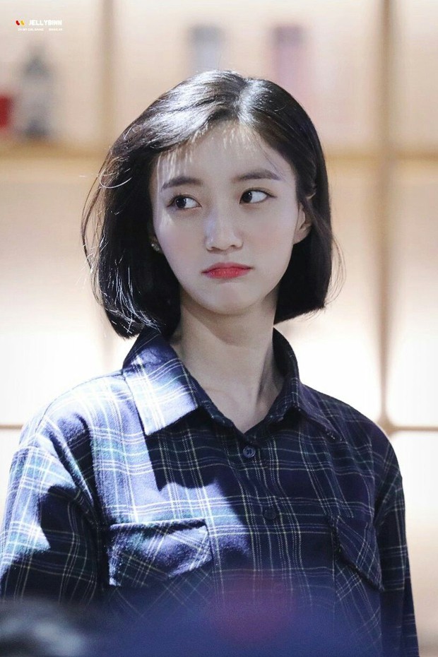 Ngang trái như idol nữ sinh năm 1997: Thành viên BLACKPINK và TWICE sự nghiệp thăng hoa, mỹ nhân I.O.I gặp cảnh sớm nở chóng tàn - Ảnh 22. Ngang trái như idol nữ sinh năm 1997: Thành viên BLACKPINK và TWICE sự nghiệp thăng hoa, mỹ nhân I.O.I gặp cảnh sớm nở chóng tàn - Ảnh 22.