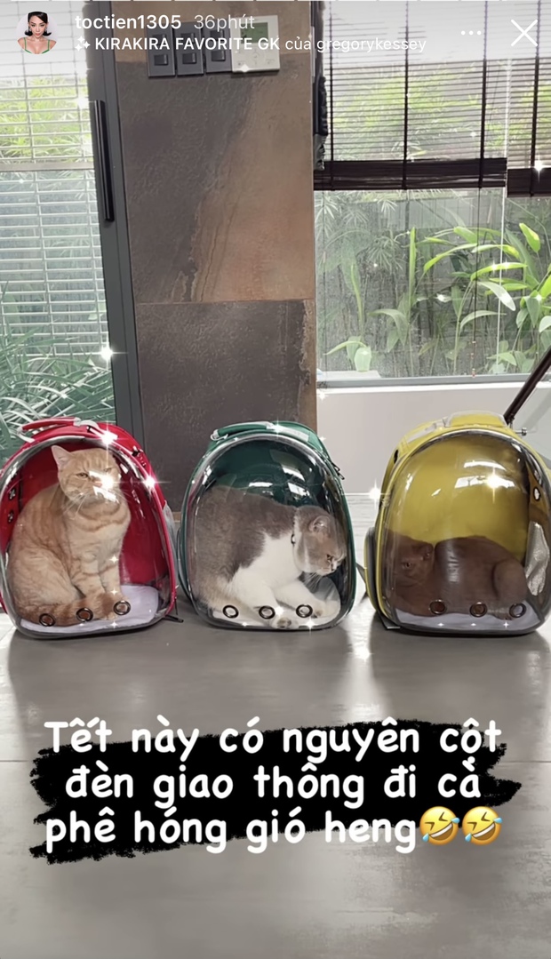 Nhà Tóc Tiên đã chuẩn bị sẵn sàng đón Tết, lại còn tưng bừng mở tiệc đãi khách theo kiểu Tây - Ảnh 3.