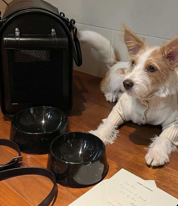 Idol hoàn hảo gọi tên Rosé (BLACKPINK): Hát chính, nhảy đẹp không thua main dancer còn biết diễn; chưa solo đã là nữ hoàng kỷ lục - Ảnh 11.