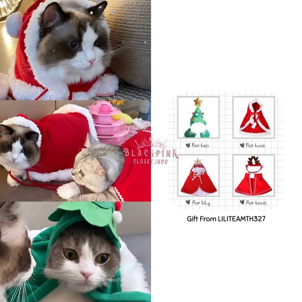 Lối sống quý tộc của thú cưng nhà BLACKPINK: Đi xe đẩy 20 triệu, nằm túi hiệu 76 triệu - Ảnh 9.