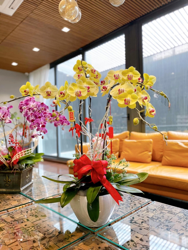 Xem ảnh các chị đẹp dọn dẹp ngày Tết mới thấy nhà ai cũng... siêu to khổng lồ - Ảnh 20.