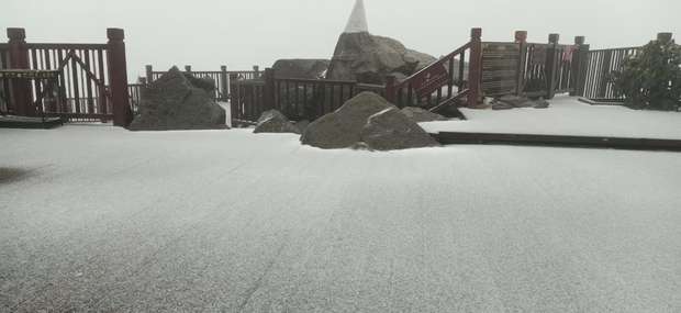 HOT: Tuyết đang rơi lớn tại Sa Pa, đỉnh Fansipan ngập trong màu trắng - Ảnh 4.