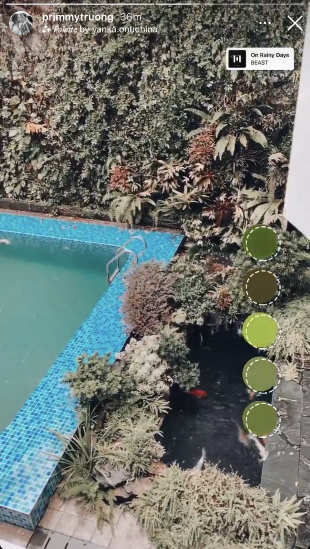 Vợ Phan Thành khoe nhẹ một góc biệt phủ, dân tình tò mò không biết Tết hào môn khác gì bình thường - Ảnh 2.