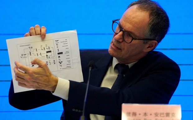 Rất khó có khả năng virus SARS-CoV-2 rò rỉ từ phòng thí nghiệm Vũ Hán - Ảnh 2. Rất khó có khả năng virus SARS-CoV-2 rò rỉ từ phòng thí nghiệm Vũ Hán - Ảnh 2.