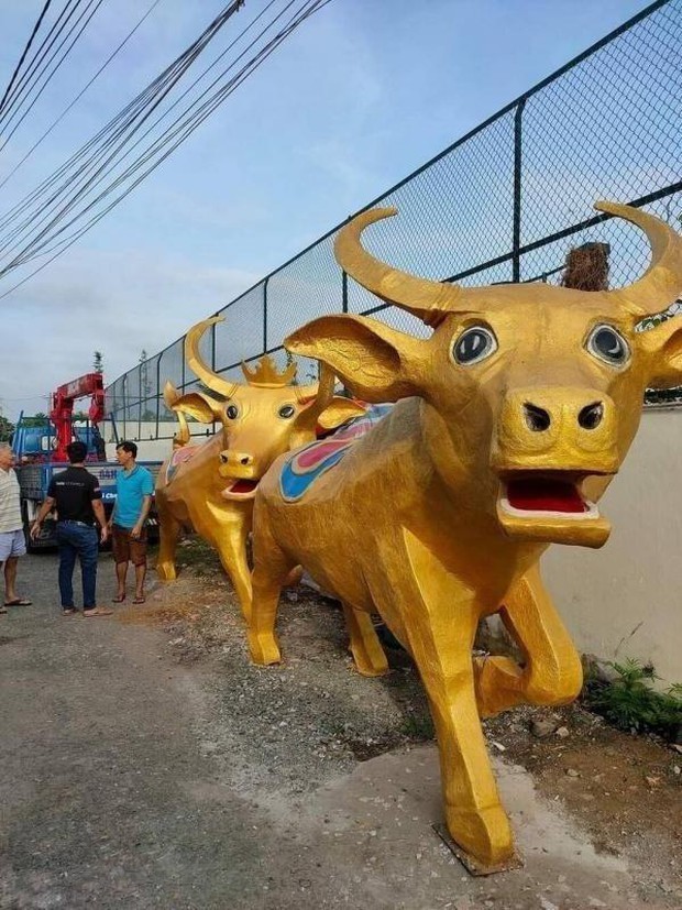 Hình ảnh về những chú Trâu 2021 đầu tiên lộ diện: 1001 biểu cảm ngộ nghĩnh của Sửu Nhi béo tròn đến cơ bắp cuồn cuộn - Ảnh 2. Hình ảnh về những chú Trâu 2021 đầu tiên lộ diện: 1001 biểu cảm ngộ nghĩnh của Sửu Nhi béo tròn đến cơ bắp cuồn cuộn - Ảnh 2.