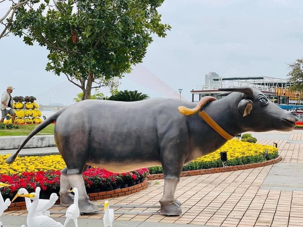 Hình ảnh về những chú Trâu 2021 đầu tiên lộ diện: 1001 biểu cảm ngộ nghĩnh của Sửu Nhi béo tròn đến cơ bắp cuồn cuộn - Ảnh 11. Hình ảnh về những chú Trâu 2021 đầu tiên lộ diện: 1001 biểu cảm ngộ nghĩnh của Sửu Nhi béo tròn đến cơ bắp cuồn cuộn - Ảnh 11.