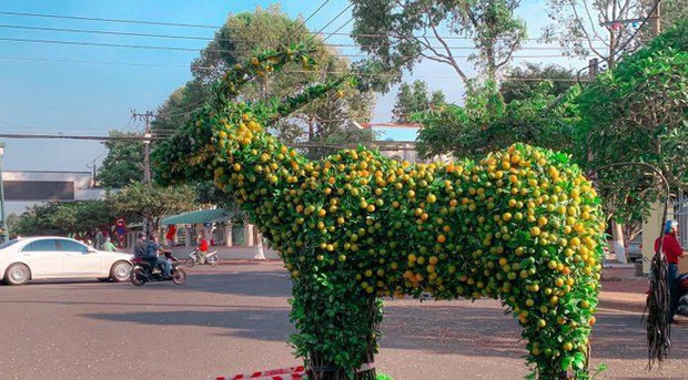 Hình ảnh về những chú Trâu 2021 đầu tiên lộ diện: 1001 biểu cảm ngộ nghĩnh của Sửu Nhi béo tròn đến cơ bắp cuồn cuộn - Ảnh 21.