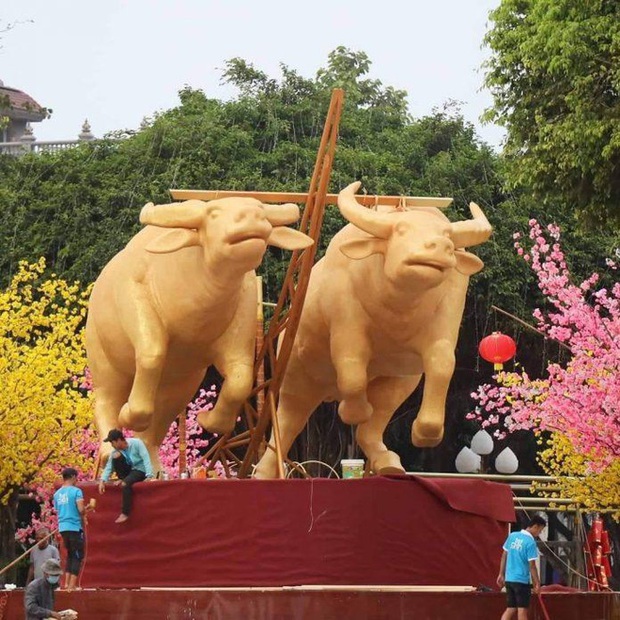 Hình ảnh về những chú Trâu 2021 đầu tiên lộ diện: 1001 biểu cảm ngộ nghĩnh của Sửu Nhi béo tròn đến cơ bắp cuồn cuộn - Ảnh 4. Hình ảnh về những chú Trâu 2021 đầu tiên lộ diện: 1001 biểu cảm ngộ nghĩnh của Sửu Nhi béo tròn đến cơ bắp cuồn cuộn - Ảnh 4.