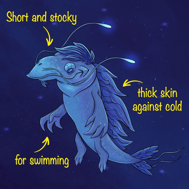 Bạn trông sẽ như thế nào nếu tồn tại được ở một hành tinh khác? Diện mạo mới đảm bảo sẽ khiến bạn ngạc nhiên - Ảnh 7.