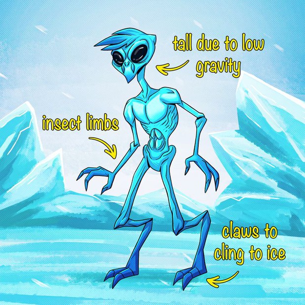 Bạn trông sẽ như thế nào nếu tồn tại được ở một hành tinh khác? Diện mạo mới đảm bảo sẽ khiến bạn ngạc nhiên - Ảnh 8.