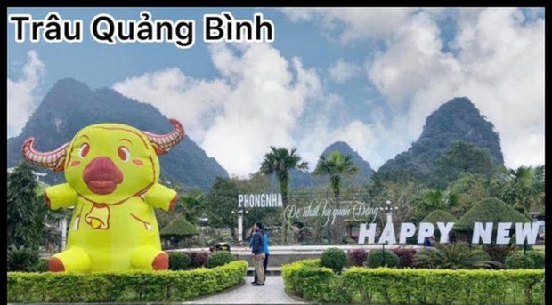 Hình ảnh về những chú Trâu 2021 đầu tiên lộ diện: 1001 biểu cảm ngộ nghĩnh của Sửu Nhi béo tròn đến cơ bắp cuồn cuộn - Ảnh 10. Hình ảnh về những chú Trâu 2021 đầu tiên lộ diện: 1001 biểu cảm ngộ nghĩnh của Sửu Nhi béo tròn đến cơ bắp cuồn cuộn - Ảnh 10.