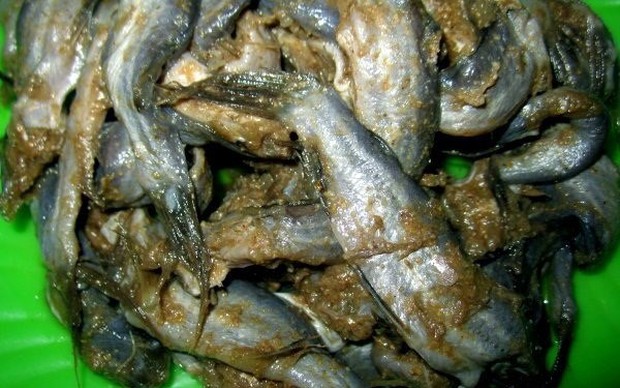 Món bún nước lèo đặc sản quê Ngọc Trinh có gì đặc biệt mà Diệu Nhi nức nở khen ngon đến nhức nách? - Ảnh 6. Món bún nước lèo đặc sản quê Ngọc Trinh có gì đặc biệt mà Diệu Nhi nức nở khen ngon đến nhức nách? - Ảnh 6.