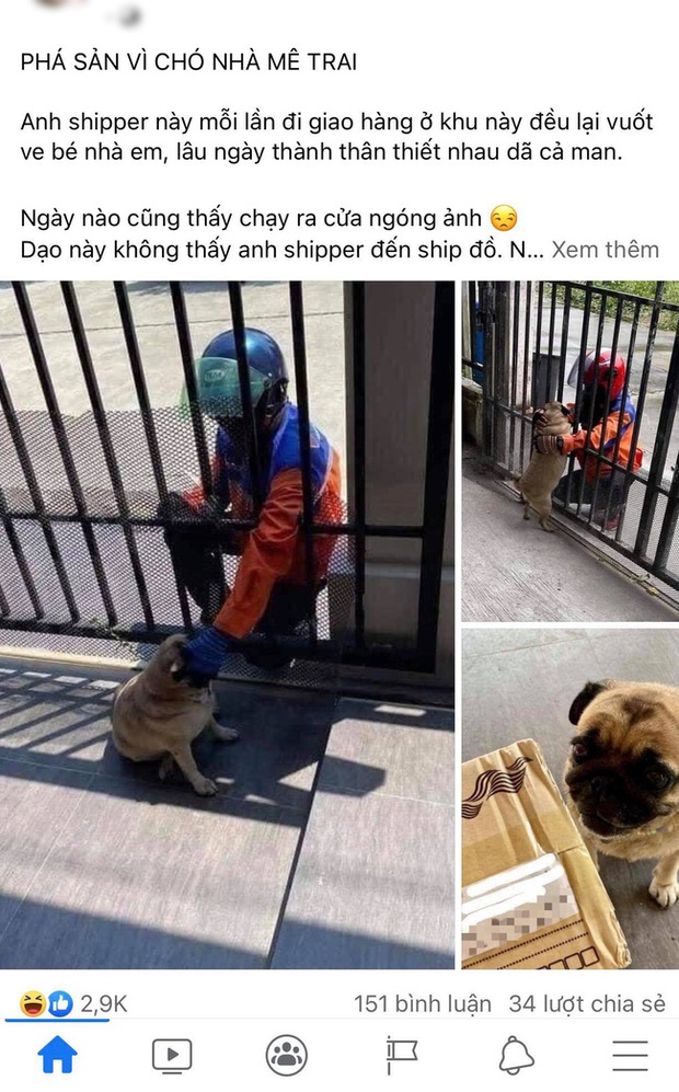 Chú chó mê chàng shipper nên mắc bệnh tương tư, bỏ ăn bỏ uống, con sen khóc ròng vì chiều lòng đại boss mà liên tục phải đặt đồ online đến mức sắp phá sản - Ảnh 1. Chú chó mê chàng shipper nên mắc bệnh tương tư, bỏ ăn bỏ uống, con sen khóc ròng vì chiều lòng đại boss mà liên tục phải đặt đồ online đến mức sắp phá sản - Ảnh 1.