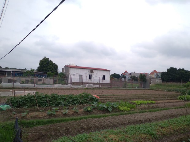 Vụ chồng sát hại vợ và con gái ở Đông Anh: Nạn nhân là giảng viên đại học, được nhiều người quý mến - Ảnh 1.