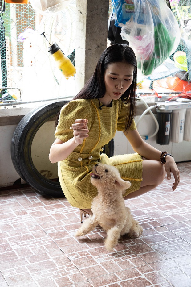 Diệp Bảo Ngọc theo chân người phụ nữ chăm gần 100 chú chó mèo tật nguyền bị bỏ rơi - Ảnh 6. Diệp Bảo Ngọc theo chân người phụ nữ chăm gần 100 chú chó mèo tật nguyền bị bỏ rơi - Ảnh 6.