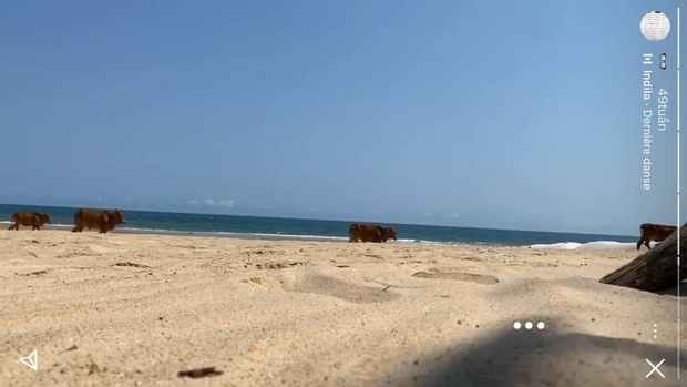 Con trai út nhà tỷ phú Johnathan Hạnh Nguyễn chính là thiếu gia đăng story gây đau cổ nhất Việt Nam - Ảnh 3.