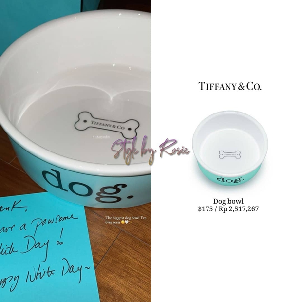 Từ ngày làm đại boss của Rosé, chú chó Hank toàn được hưởng sái hàng hiệu, nhìn mà ghen tị - Ảnh 2.