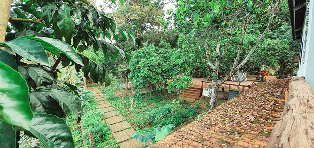 NTK về quê làm ngôi nhà dùng toàn đồ tái chế, cải tạo theo hướng thuận tự nhiên mộc mạc, gần gũi - Ảnh 10. NTK về quê làm ngôi nhà dùng toàn đồ tái chế, cải tạo theo hướng thuận tự nhiên mộc mạc, gần gũi - Ảnh 10.