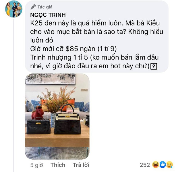 Đại hội pass đồ nhìn giá muốn đột quỵ của Ngọc Trinh: Kim cương, Hermes cả trăm tỷ, thanh lý mà mua luôn được căn biệt thự rồi - Ảnh 10.