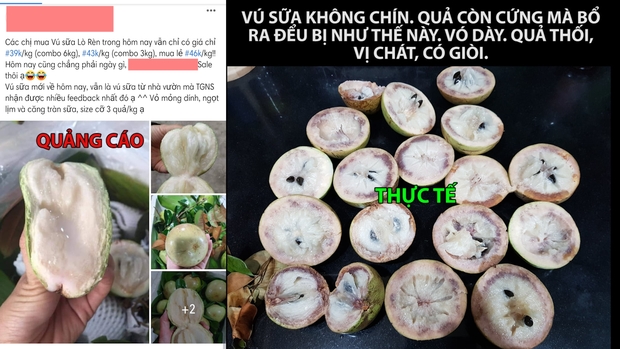 Xôn xao cửa hàng thực phẩm ở Hà Nội bán 6kg trái cây đểu, khách muốn đổi trả thì lại bảo: Vú sữa là hàng nhạy cảm, phải ăn ngay! - Ảnh 2. Xôn xao cửa hàng thực phẩm ở Hà Nội bán 6kg trái cây đểu, khách muốn đổi trả thì lại bảo: Vú sữa là hàng nhạy cảm, phải ăn ngay! - Ảnh 2.