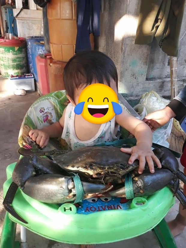Cận cảnh chú cua biển nặng tận 7kg bị sa lưới ở Móng Cái đang được đấu giá, nhìn size cái càng thôi cũng đủ choáng! - Ảnh 1. Cận cảnh chú cua biển nặng tận 7kg bị sa lưới ở Móng Cái đang được đấu giá, nhìn size cái càng thôi cũng đủ choáng! - Ảnh 1.