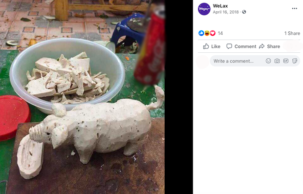 Nhà thừa khúc giò, cô nàng đẽo thành chú heo đem khoe dân mạng nhưng lại bị “bóc phốt” trắng trợn ở điểm này - Ảnh 3. Nhà thừa khúc giò, cô nàng đẽo thành chú heo đem khoe dân mạng nhưng lại bị “bóc phốt” trắng trợn ở điểm này - Ảnh 3.