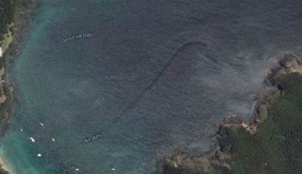 Những thuỷ quái khổng lồ vô tình được Google Earth ghi lại, nhìn rất khó tin! - Ảnh 6.