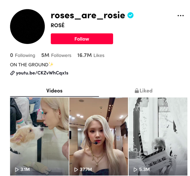 Rosé (BLACKPINK) trở thành người chơi TikTok đạt 1 triệu lượt theo dõi nhanh nhất, dù không có bất kì một video nào! - Ảnh 2.