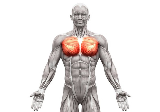 Sửng sốt trước khả năng điều khiển cơ ngực nhảy múa của người mẫu thể hình Jo Lindner - Ảnh 8. Sửng sốt trước khả năng điều khiển cơ ngực nhảy múa của người mẫu thể hình Jo Lindner - Ảnh 8.