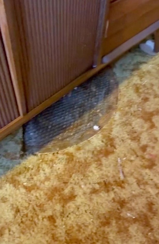 Vô tình phát hiện miệng cống kỳ quái lúc dọn dẹp đồ đạc, cặp vợ chồng có khám phá khủng ngay bên dưới sàn nhà - Ảnh 1.