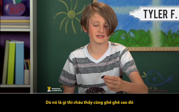 Phản ứng khó tin của trẻ em phương Tây khi thử uống trà sữa: Cứ tưởng là ai cũng thích món này chứ? - Ảnh 1. Phản ứng khó tin của trẻ em phương Tây khi thử uống trà sữa: Cứ tưởng là ai cũng thích món này chứ? - Ảnh 1.