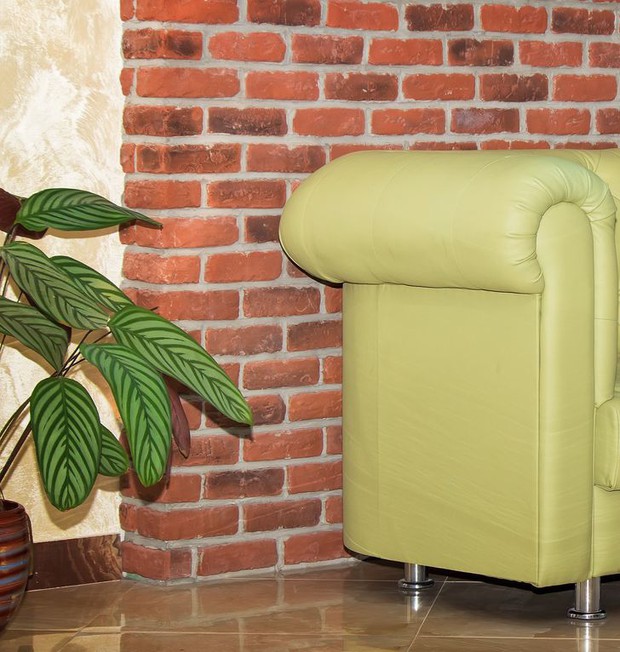 10 món đồ bóc mẽ chủ nhà là người “nghèo”, chắc chắn bạn có vài thứ - Ảnh 10.