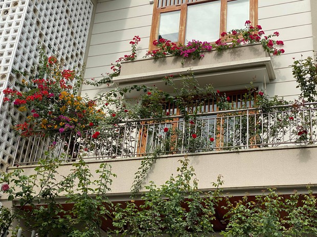 Biệt thự của Quý Bình và bà xã doanh nhân: Hoa phủ kín lối đi, mảnh vườn lớn là ao ước của nhiều người - Ảnh 3.