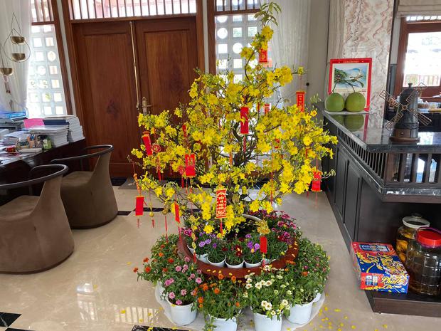 Biệt thự của Quý Bình và bà xã doanh nhân: Hoa phủ kín lối đi, mảnh vườn lớn là ao ước của nhiều người - Ảnh 10.