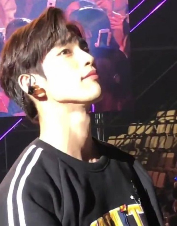 Fan đi concert bắt trọn visual đời thực của idol Kpop cự ly gần: Vóc dáng đỉnh cao nhưng có đẹp như trong MV? - Ảnh 29.