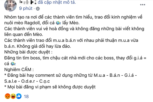 Tá hoả phát hiện ra nhóm antifan hơn 24.000 thành viên của Hải Tú bỗng nhiên đổi tên thành... hội yêu mèo - Ảnh 3. Tá hoả phát hiện ra nhóm antifan hơn 24.000 thành viên của Hải Tú bỗng nhiên đổi tên thành... hội yêu mèo - Ảnh 3.