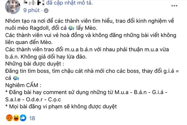 Tá hoả phát hiện ra nhóm antifan hơn 24.000 thành viên của Hải Tú bỗng nhiên đổi tên thành... hội yêu mèo - Ảnh 3.