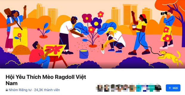 Tá hoả phát hiện ra nhóm antifan hơn 24.000 thành viên của Hải Tú bỗng nhiên đổi tên thành... hội yêu mèo - Ảnh 2. Tá hoả phát hiện ra nhóm antifan hơn 24.000 thành viên của Hải Tú bỗng nhiên đổi tên thành... hội yêu mèo - Ảnh 2.