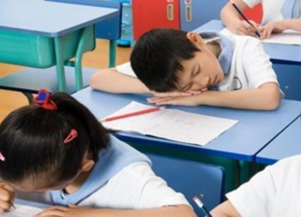 Thấy trò lên lớp ngủ gật, cô giáo vội chụp hình gửi vào group phụ huynh để phê bình, nghe câu đáp trả của người bố mà ai cũng cứng họng - Ảnh 3. Thấy trò lên lớp ngủ gật, cô giáo vội chụp hình gửi vào group phụ huynh để phê bình, nghe câu đáp trả của người bố mà ai cũng cứng họng - Ảnh 3.