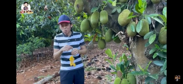 Sau nhà thờ tổ trăm tỷ, NS Hoài Linh hé lộ cơ ngơi là khu vườn trái cây đủ loại của ngon vật lạ siêu to ở Đồng Nai - Ảnh 3. Sau nhà thờ tổ trăm tỷ, NS Hoài Linh hé lộ cơ ngơi là khu vườn trái cây đủ loại của ngon vật lạ siêu to ở Đồng Nai - Ảnh 3.