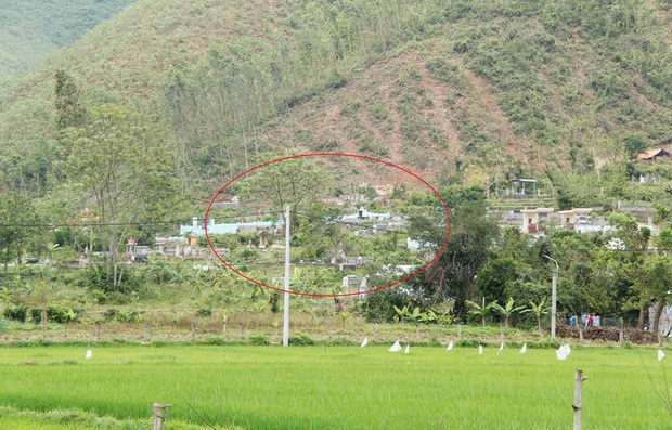 Đà Nẵng: Đình chỉ một nghĩa trang thai nhi hoạt động thiện nguyện - Ảnh 7. Đà Nẵng: Đình chỉ một nghĩa trang thai nhi hoạt động thiện nguyện - Ảnh 7.