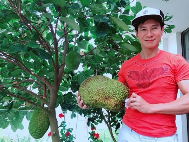 Lý Hải - Minh Hà trồng cây trên sân thượng mà thu hoạch nặng trĩu tay, phải đăng đàn ai ăn thì biếu bớt lấy thảo - Ảnh 7. Lý Hải - Minh Hà trồng cây trên sân thượng mà thu hoạch nặng trĩu tay, phải đăng đàn ai ăn thì biếu bớt lấy thảo - Ảnh 7.
