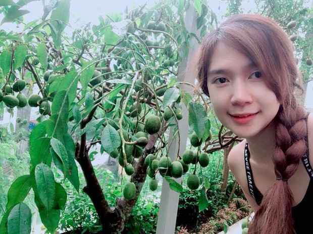 Lý Hải - Minh Hà trồng cây trên sân thượng mà thu hoạch nặng trĩu tay, phải đăng đàn ai ăn thì biếu bớt lấy thảo - Ảnh 8. Lý Hải - Minh Hà trồng cây trên sân thượng mà thu hoạch nặng trĩu tay, phải đăng đàn ai ăn thì biếu bớt lấy thảo - Ảnh 8.
