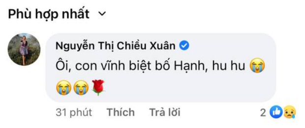 NS Công Lý, Chiều Xuân và khán giả bàng hoàng khi hay tin NSND Trần Hạnh qua đời - Ảnh 3.