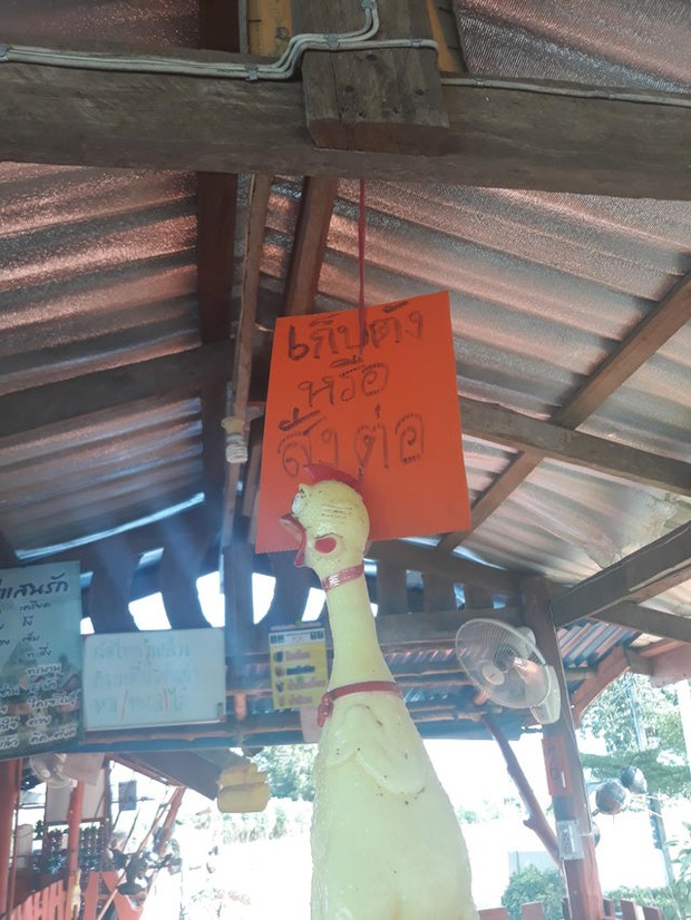 Loạt khoảnh khắc chứng minh bỏ tiền đi du lịch Thái Lan quả không phí tí nào, toàn được ngắm những thứ độc lạ mà thôi! - Ảnh 23.