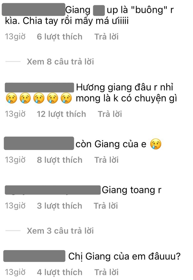 Matt Liu bị fan Hương Giang tấn công vì không đăng ảnh bạn gái, CEO bơ đẹp chỉ trả lời đúng 1 comment - Ảnh 3.