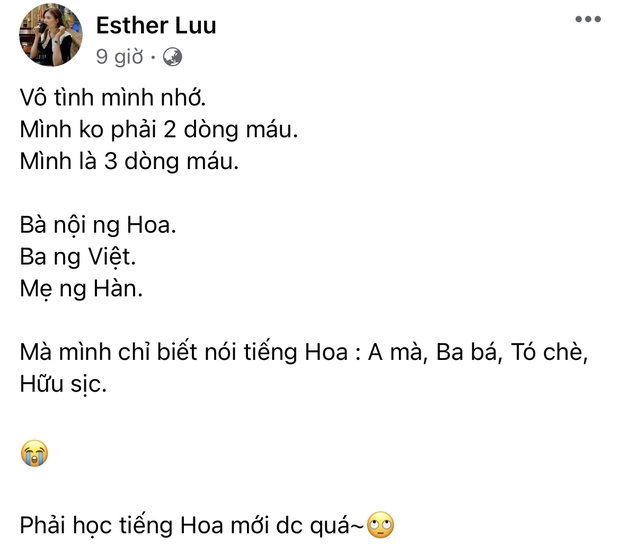 Hari Won đáp trả căng đét khi mẹ ruột bị xúc phạm “không có tâm” nên con gái nói không rành tiếng Việt - Ảnh 2.