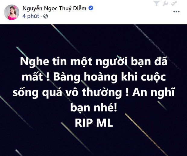 Phù thuỷ trang điểm cho Hoa hậu Đặng Thu Thảo và Nhã Phương, đột ngột qua đời, Mai Phương Thúy cùng dàn sao Việt bàng hoàng - Ảnh 10.